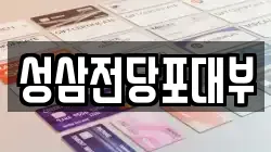 성삼전당포대부