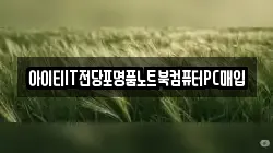 전라남도 여수시 경호동 전당포, 상품권판매, 상품권매매, 환전