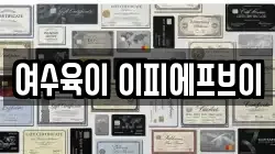 여수육이 이피에프브이