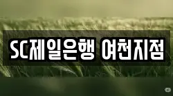 SC제일은행 여천지점