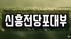 신흥전당포대부