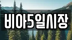 비아5일시장