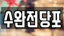 수완전당포