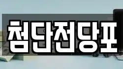 첨단전당포