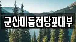 군산미듬전당포대부