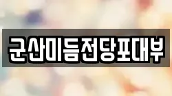 군산미듬전당포대부