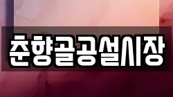춘향골공설시장