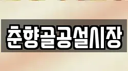 춘향골공설시장
