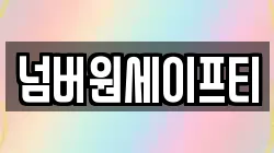 넘버원세이프티