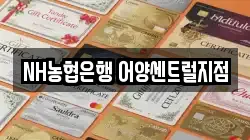 NH농협은행 어양센트럴지점