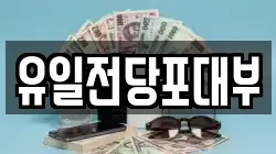 유일전당포대부