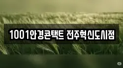 전북특별자치도 전주시 완산구 상림동 전당포, 상품권판매, 상품권매매, 환전