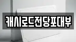 캐시로드전당포대부
