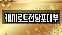 캐시로드전당포대부