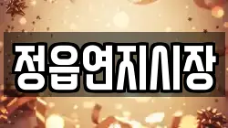 정읍연지시장