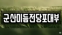 군산미듬전당포대부