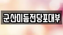 군산미듬전당포대부