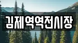 김제역역전시장