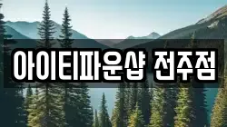 전북 전주시 덕진구 팔복동4가 전당포, 상품권판매, 상품권매매, 환전