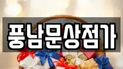 풍남문상점가