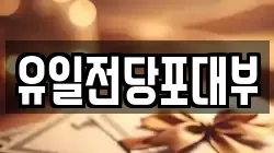 유일전당포대부