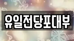 유일전당포대부