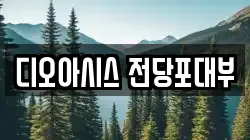 디오아시스 전당포대부
