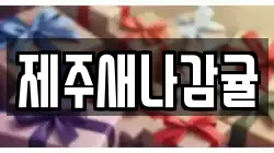 제주새나감귤