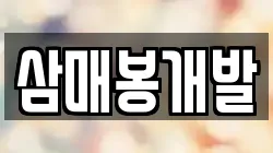삼매봉개발