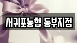 서귀포농협 동부지점