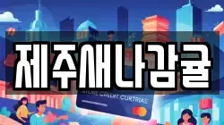 제주새나감귤