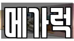메가럭