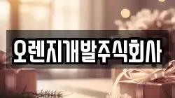 오렌지개발주식회사