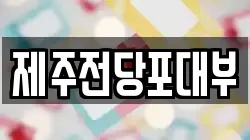 제주전당포대부