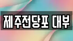 제주전당포 대부