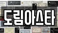도림아스타