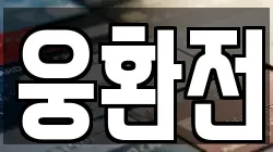 웅환전