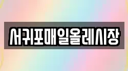 서귀포매일올레시장