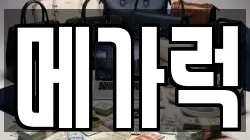 메가럭
