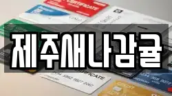 제주새나감귤