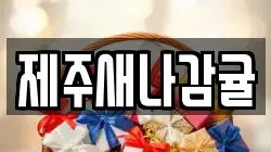 제주새나감귤