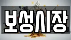 보성시장