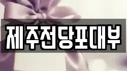 제주전당포대부
