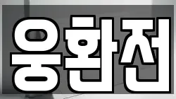 웅환전