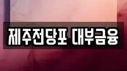 제주전당포 대부금융
