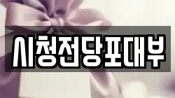 시청전당포대부