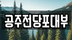 충남 공주시 무릉동 전당포, 상품권판매, 상품권매매, 환전
