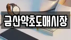 금산약초도매시장