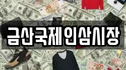 금산국제인삼시장