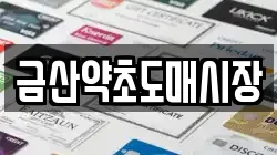 금산약초도매시장